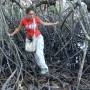 Indonésie - Dans la mangrove du parc national à l