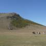 Mongolie - 