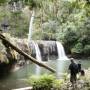 Australie - cascade tableland