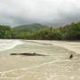 Australie - plage cape Tribulation