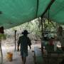 Bolivie - jungle camp