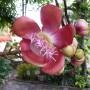 Thaïlande - 