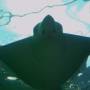 Australie - 