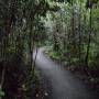 USA - gombo limbo trail