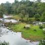 Laos - Plateau de Bolaven