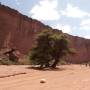 Argentine - Canyon de Talampaya 1