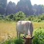 Laos - 