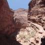 Argentine - Quebrada de Cafayate