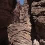 Argentine - Quebrada de Cafayate