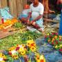 Inde - marche aux fleurs