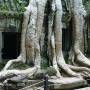 Cambodge - 