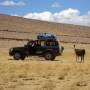 Bolivie - Jeep 2