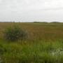 USA - Everglades par Gabrielle