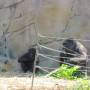 Australie - 