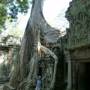 Cambodge - 