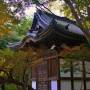 Japon - 