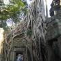 Cambodge - devine qui j
