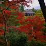 Japon - 