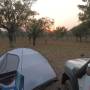 Australie - Lever de soleil dans le bush !