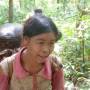 Cambodge - 