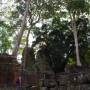Cambodge - 