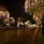 Thaïlande - 
