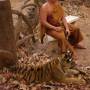 Thaïlande - 