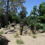 Australie - 