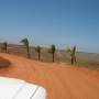 Australie - Eighty miles beach