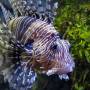 Espagne - Aquarium de San Sebastian