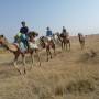 Inde - La caravanne est en route