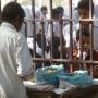 Inde - gouter de 10h