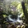 Australie - Mt Field