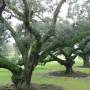 USA - Oak Alley Plantation