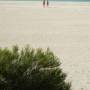 Australie - Shell beach