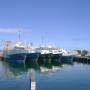 Australie - Fishing Harbour, Fremantle, le 13/09/2011.