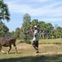 Cambodge - Campagne d