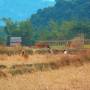 Laos - 