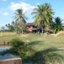 Cambodge - 