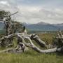 Argentine - Canal Beagle