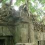 Cambodge - 