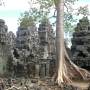 Cambodge - 