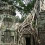 Cambodge - 