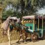 Inde - 