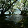 Argentine - Parc Nationl Lago Puelo 4