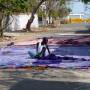 Inde - 