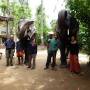 Inde - Ballade en elephant