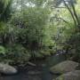 Nouvelle-Zélande - Waitakere regional park