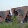 Inde - Sadanah Forest - Projet de reforestation