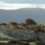 Argentine - Excurtion bateau 11